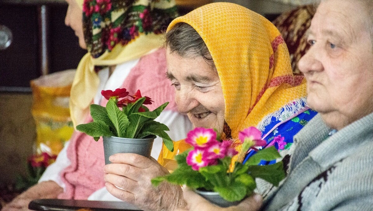     Источник: 1MI