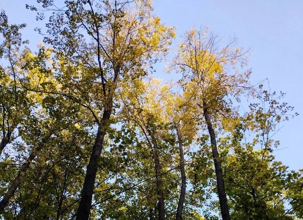 Фото: Самара-ГИС