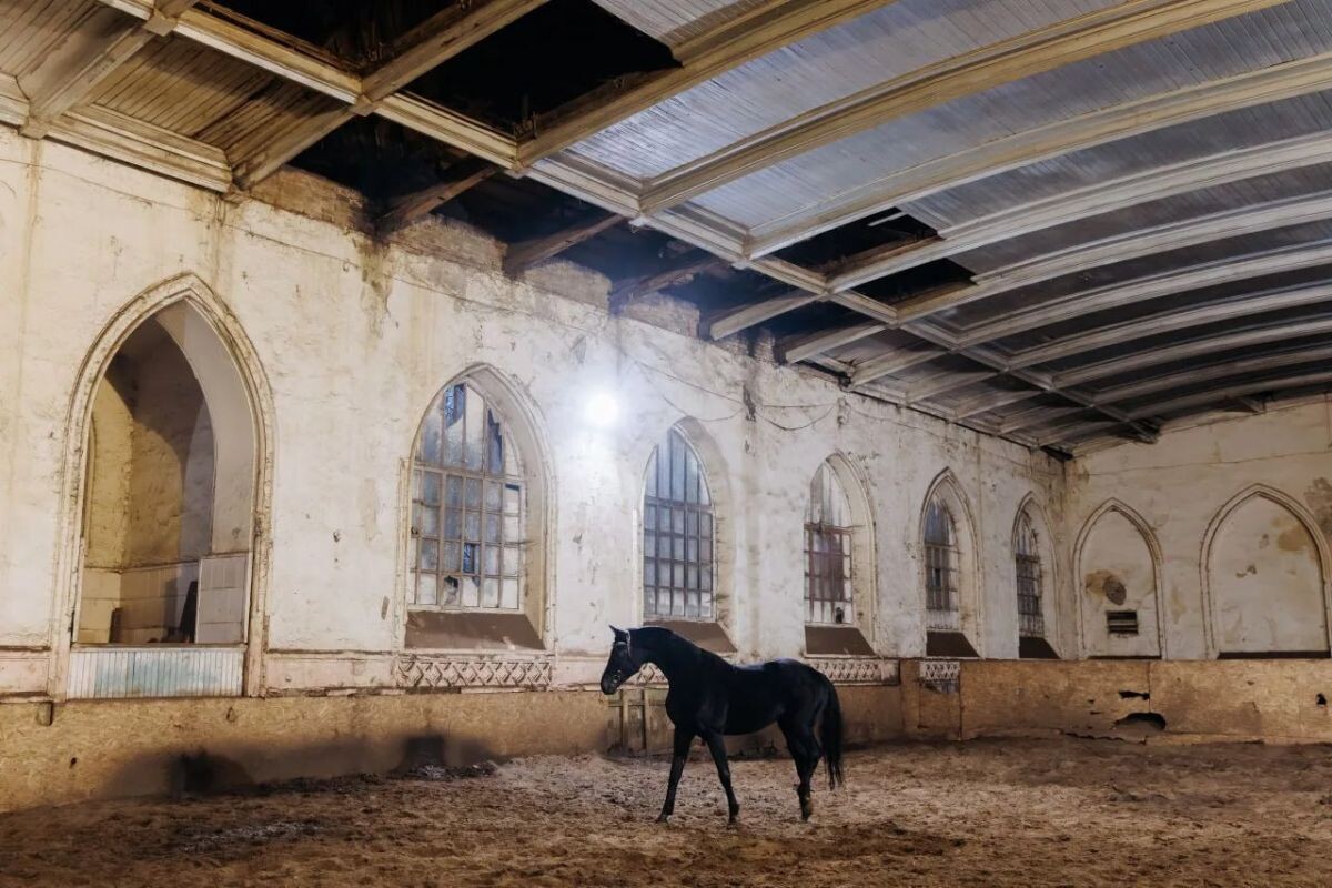 Листайте вправо, чтобы увидеть больше изображений