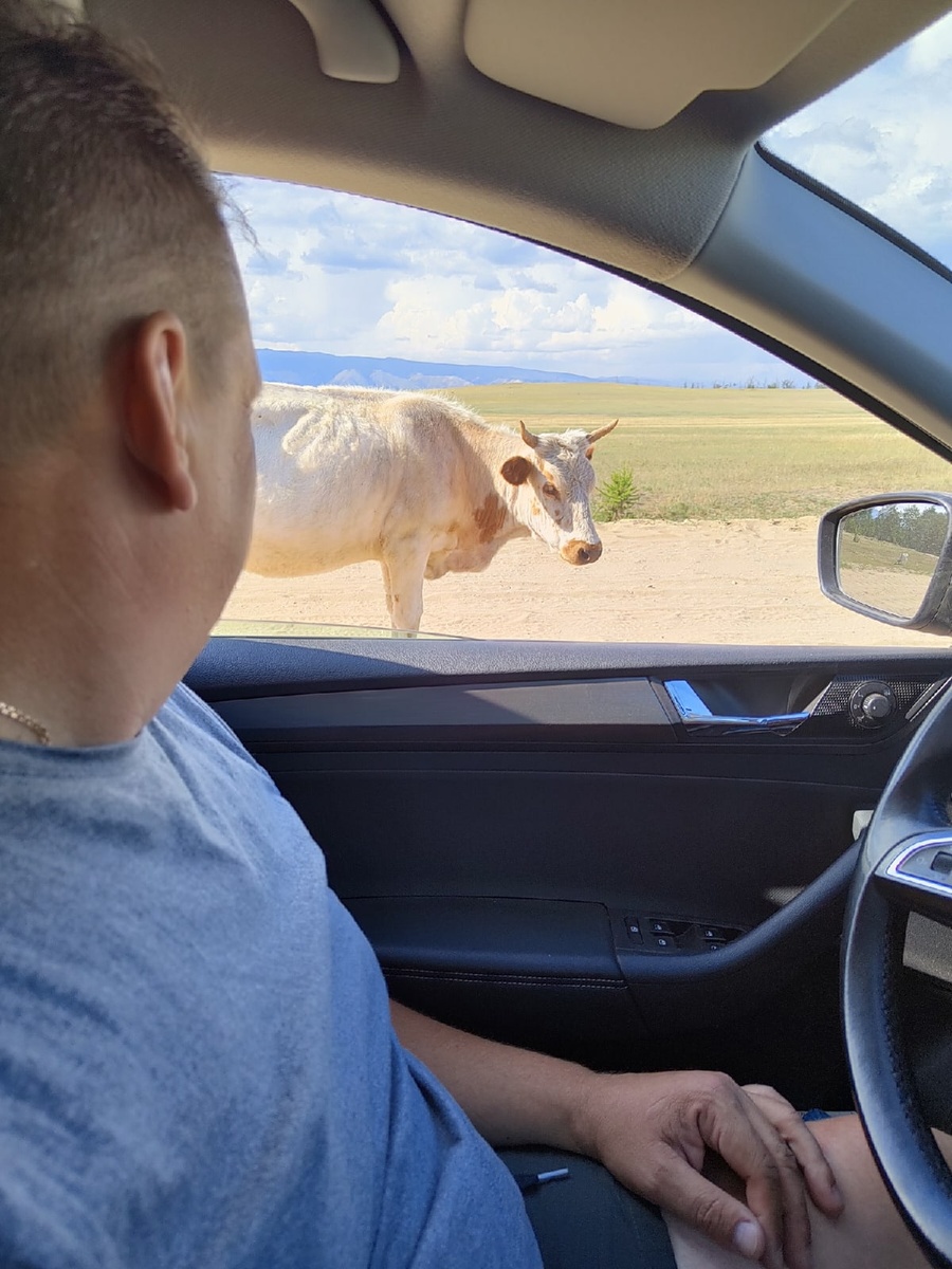 Пешеходы о. Ольхон. 2022 год. Фото автора. 