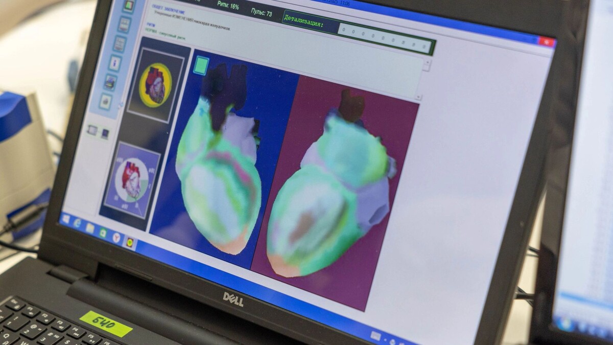    Фото: Александр Чирва/«Ямал-Медиа»