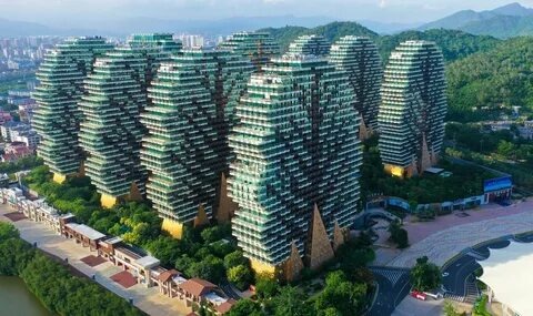 А ночью они светятся