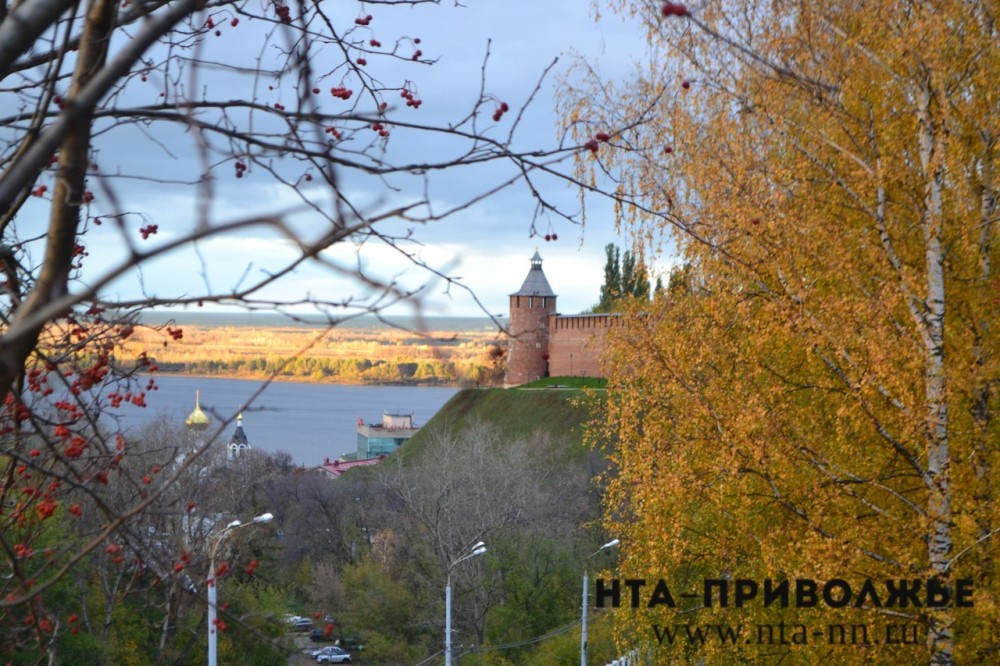    Народные приметы: 20 ноября