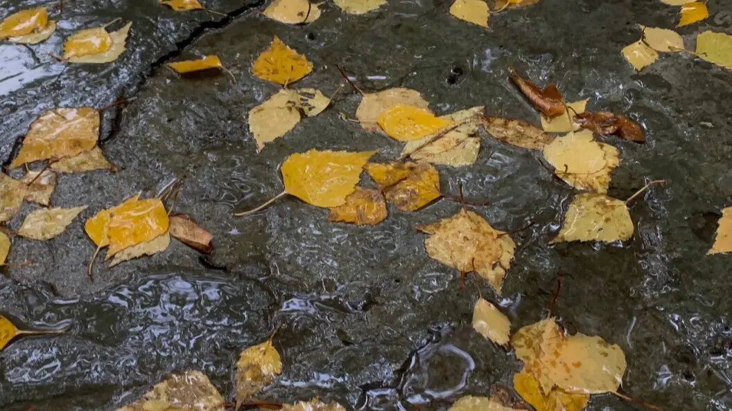    Фото: Царьград.