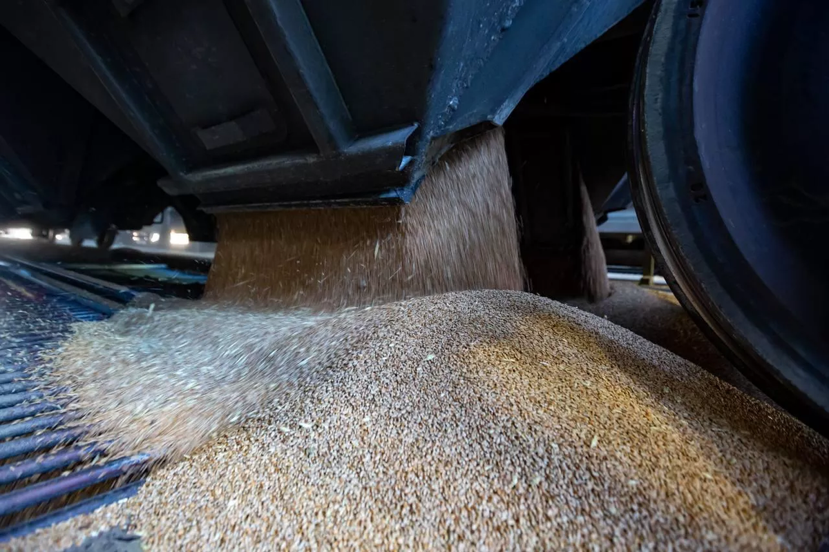 © Photo : Минтранс России