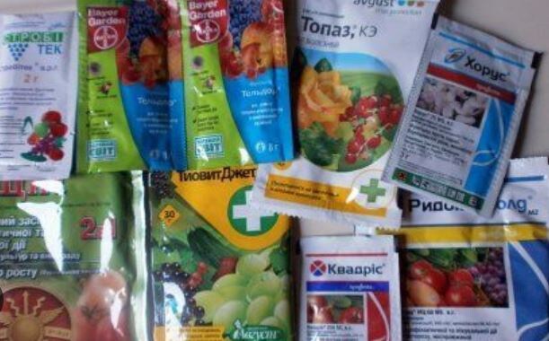 Чем заменить Актару, Хорус, Скор и другие системные препараты? Объясняем про аналоги садовых препаратов без воды и таблиц