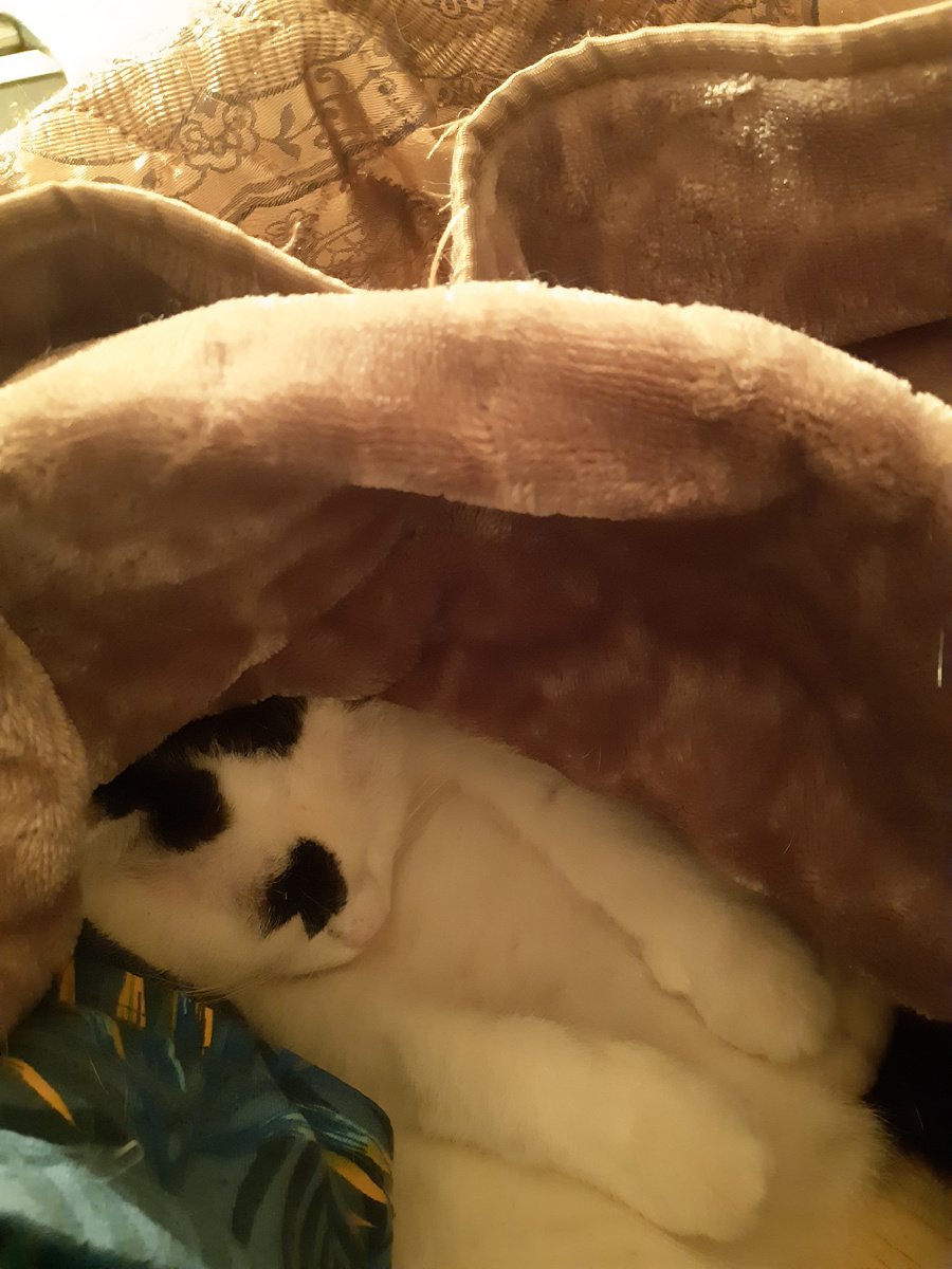 -"Фоткай уже, "прилично-неприлично", всё прилично!"