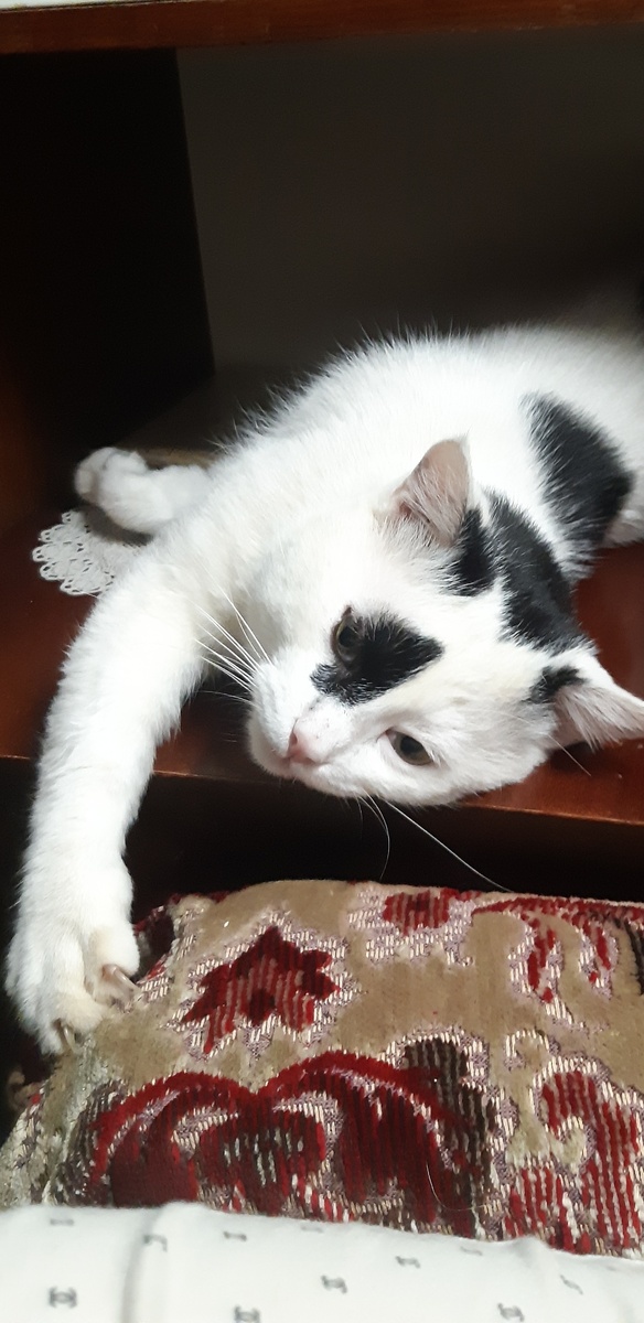 Кресло - конструкция нестабильная, держать нужно, когда сидишь.