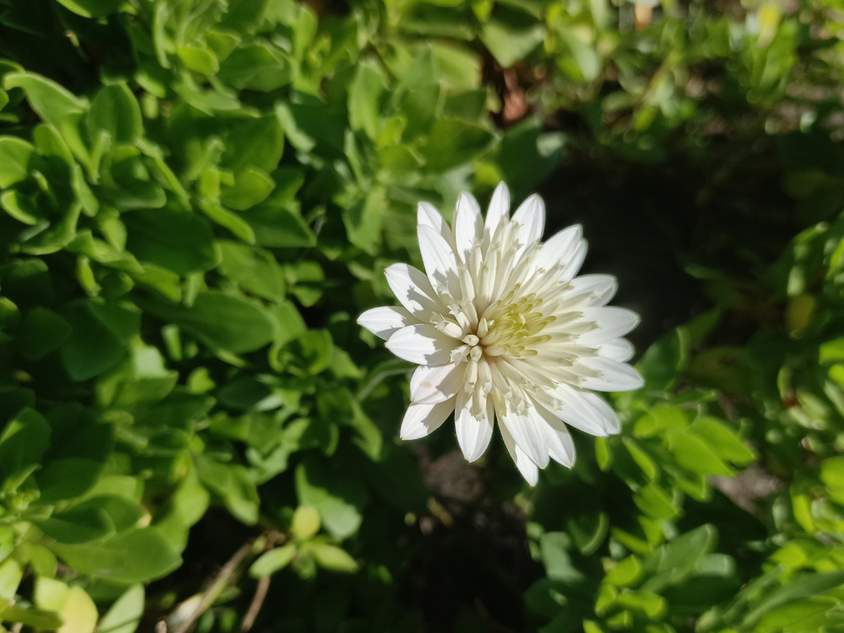 ФТ Сириус, Имеретинская набережная, ноябрь 2025 года