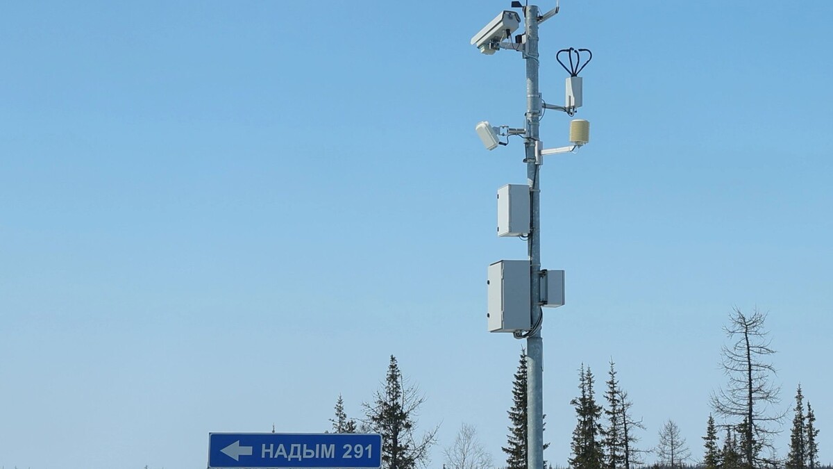    Фото: Андрей Ткачев / «Ямал-Медиа»