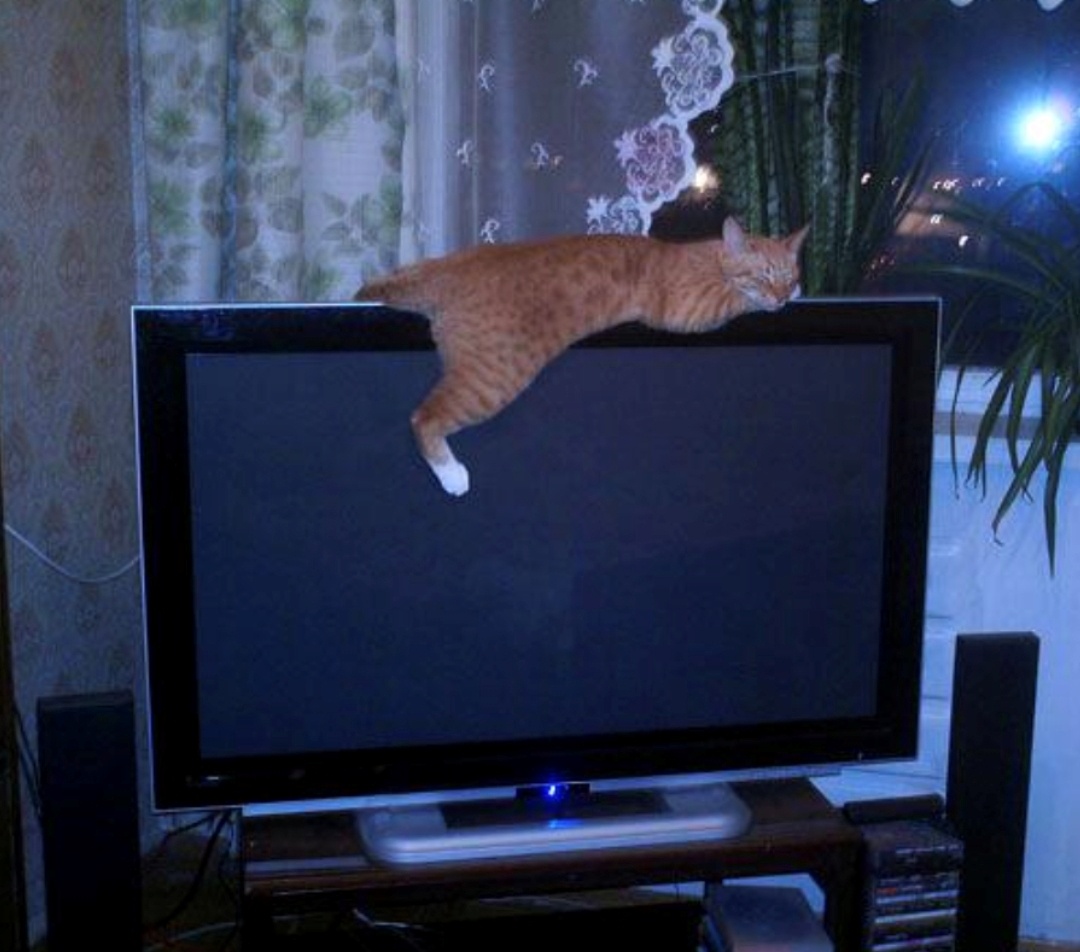 Картинка из открытых источников.