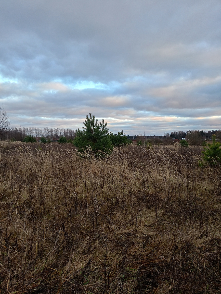 Трезвыми глазами — мир прекрасен в любую погоду. Фото автора