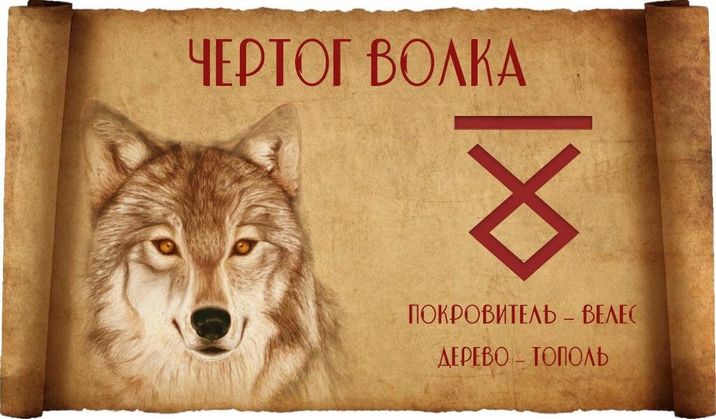 Иллюстрацию заимствовал в интернете