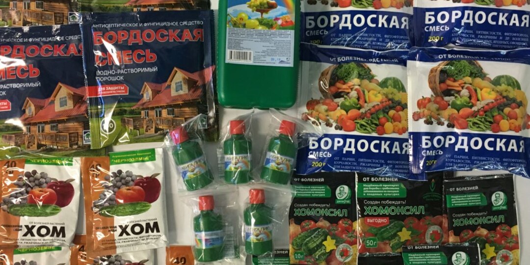 Контактные препараты и их аналоги: когда нужна «броня», а не «прививка». Гид, как вписать их в систему обработок