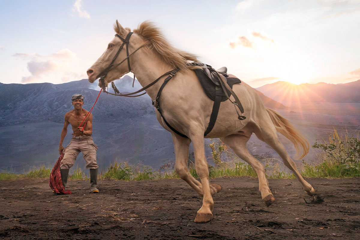 Сказка раскрывает не нашу повседневную жизнь, а внутренний мир наших установок и убеждений