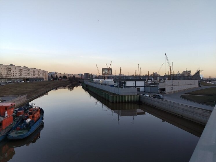     Это токсичное вещество обычно попадает в реки со сточными водами и сельскохозяйственными отходами. Фото из архива "МК в Питере"