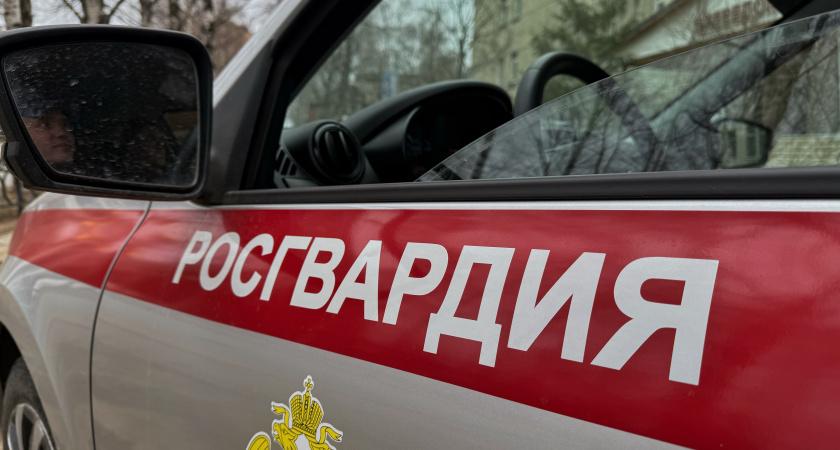    В Сыктывкаре дебоширка из бара доставлена в полицию росгвардейцами