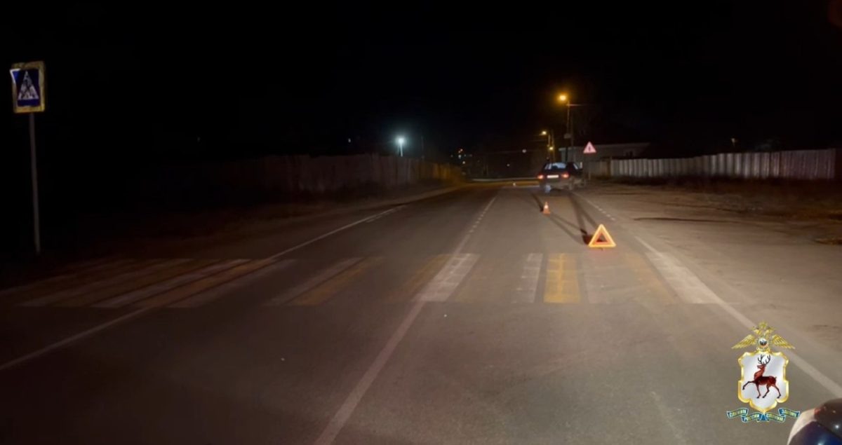    Инцидент произошел вчера, 19 ноября, около 17:10 на улице Советской в деревне Грязная