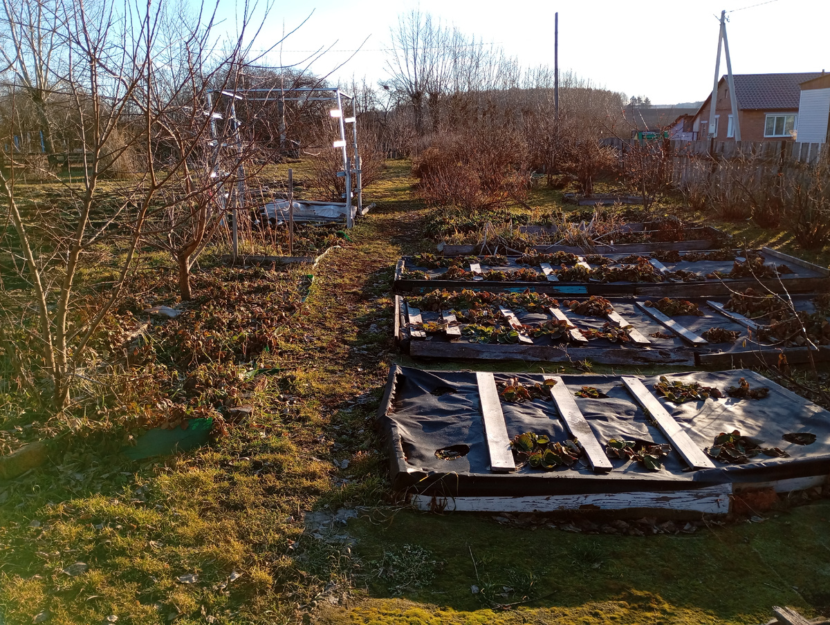 Фото автора.