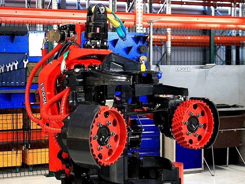 Фото: пресс-служба правительства Архангельской области