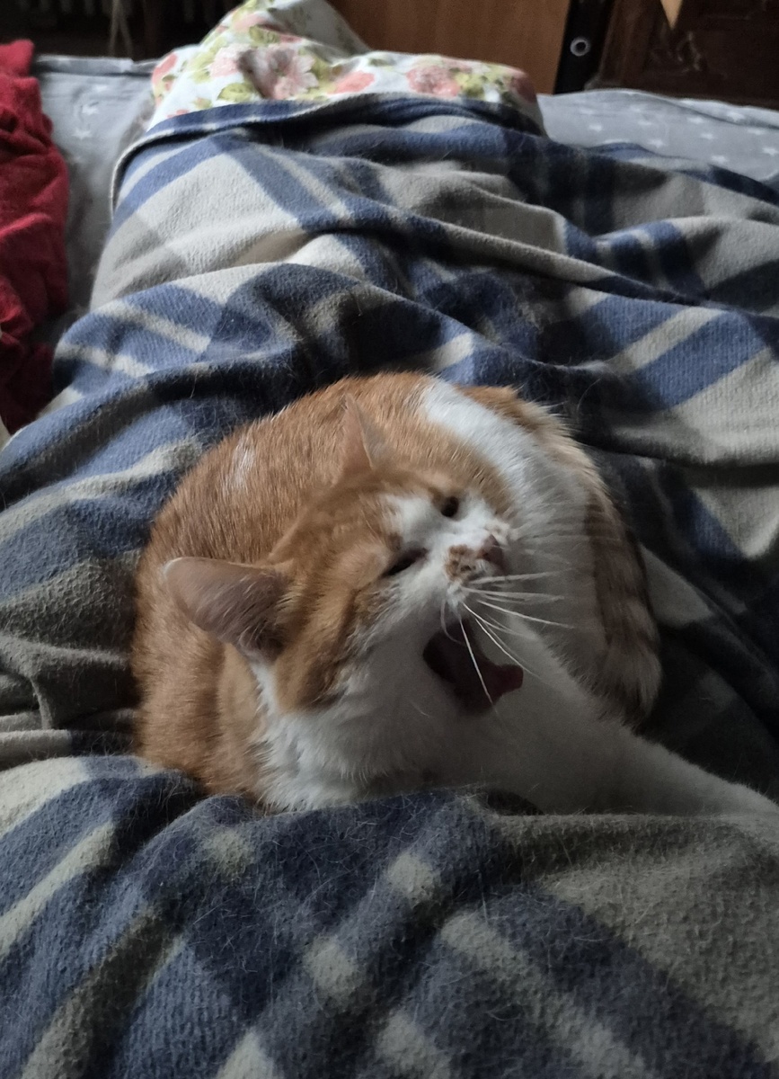 проснулась с затекшими ногами