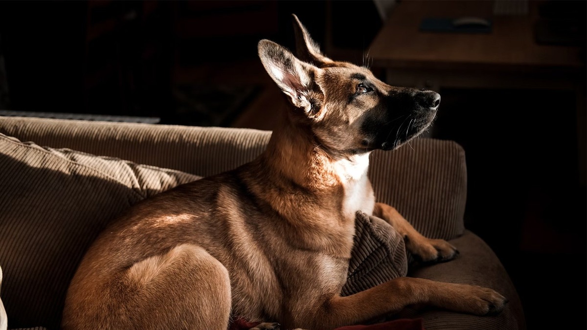    В конце ноября в музее Гагарина откроется новая выставка