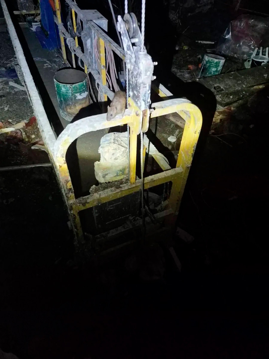    Фото: vitebsk.news24 / Instagram