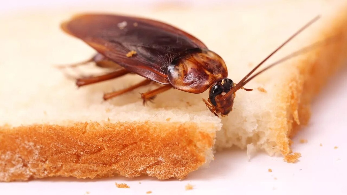 Даже самые привычные вещи при ближайшем рассмотрении открывают вселенную деталей.