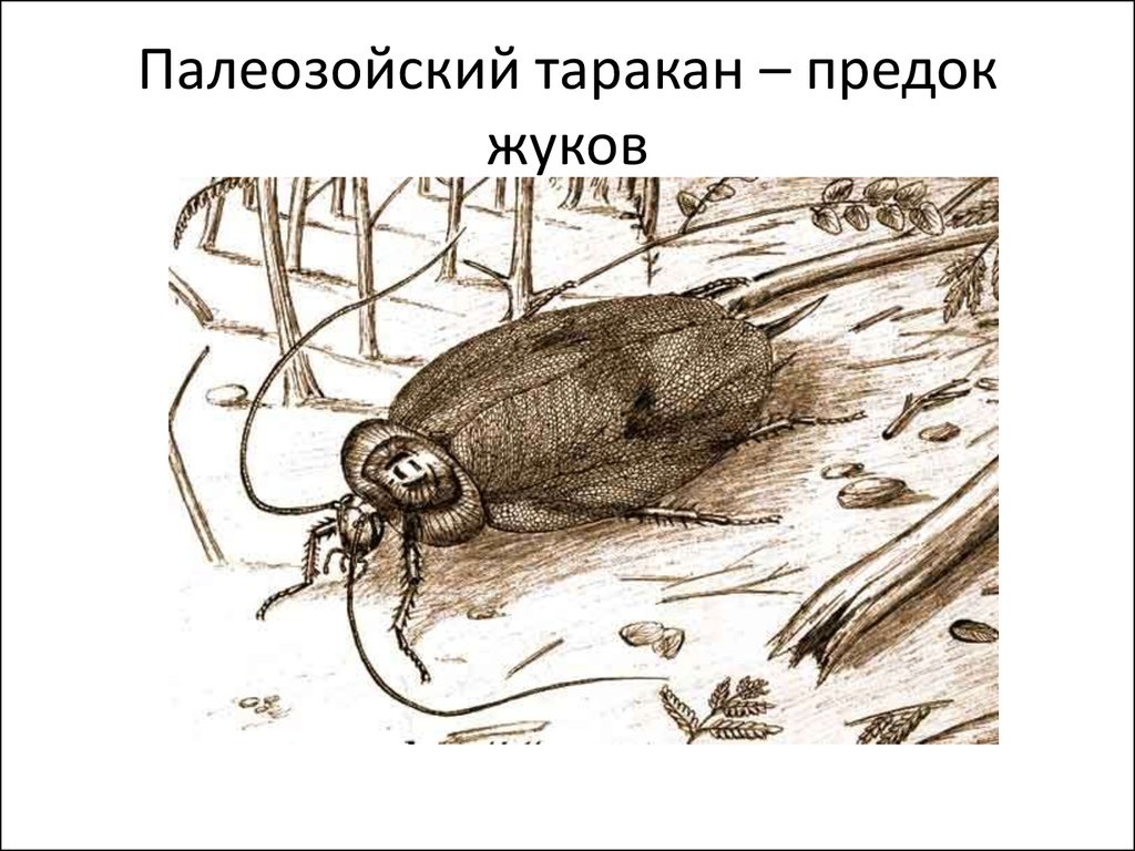 Они были до нас и, возможно, останутся после.