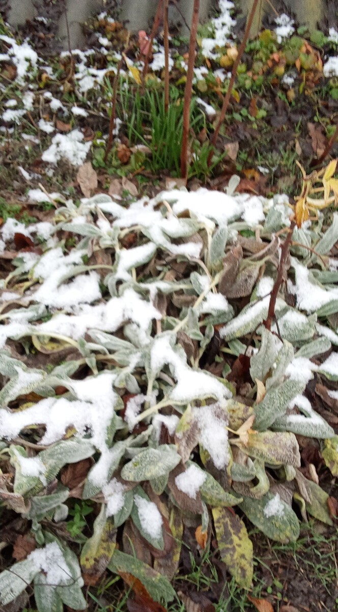 Личное фото 