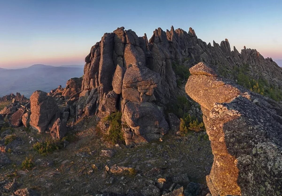    Там «пьяный» лес.