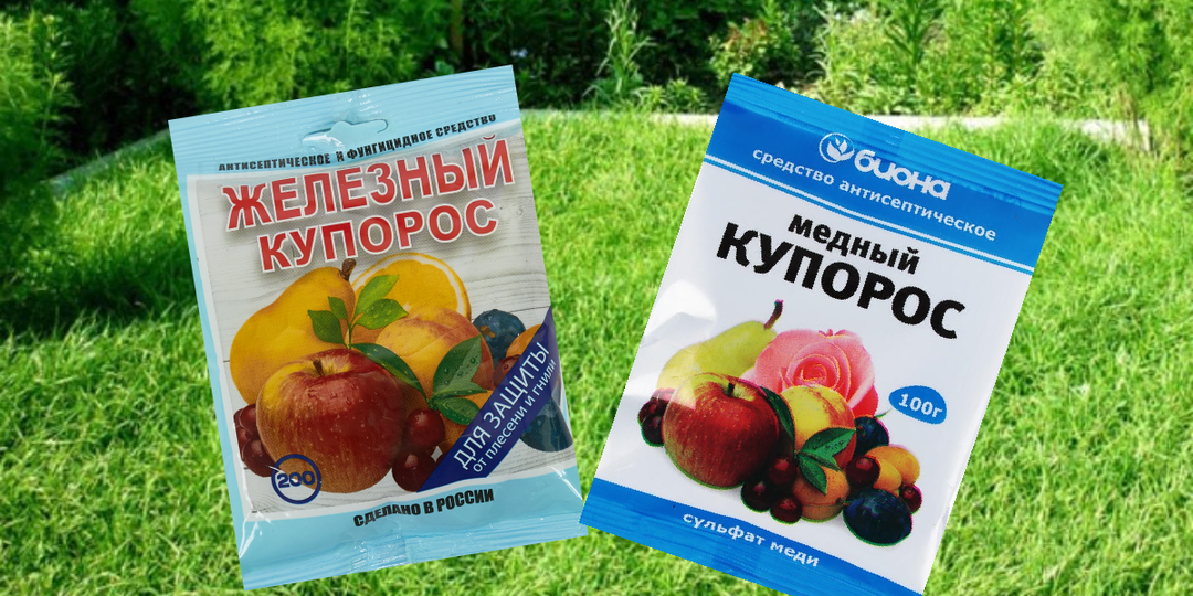 Железный или медный купорос: что выбрать для сада и когда применять? Мой личный опыт