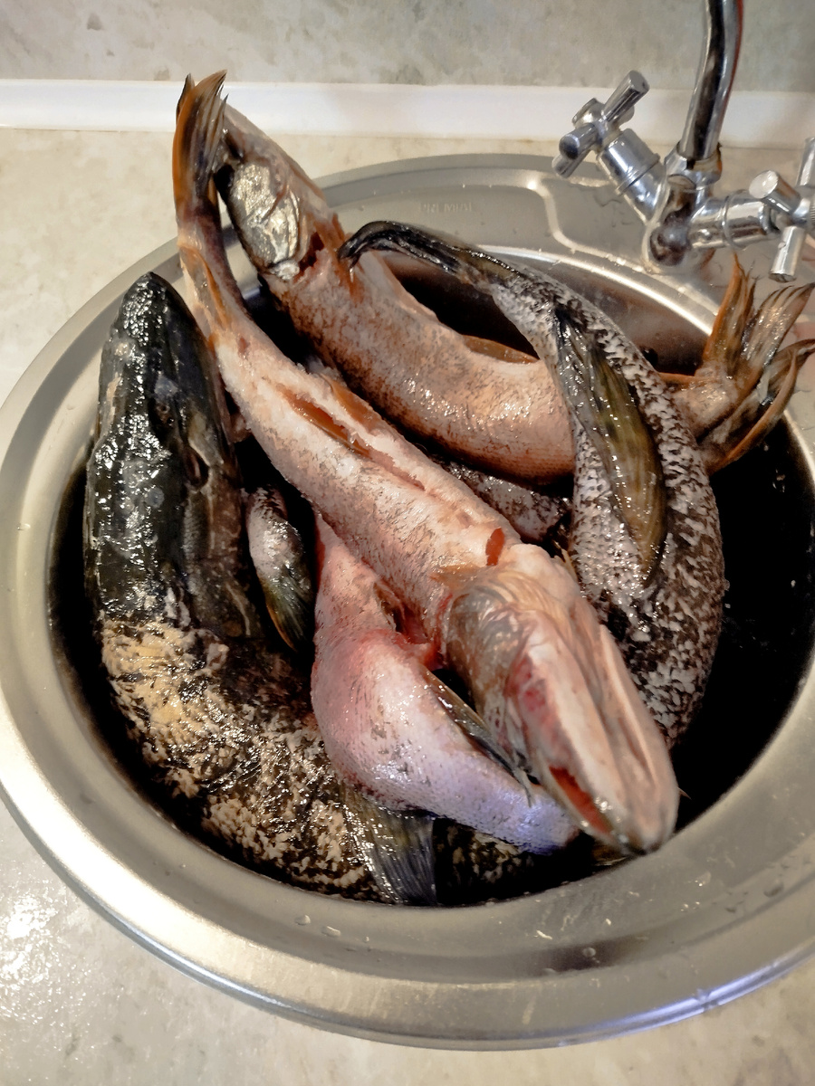 Пришло время размораживать.