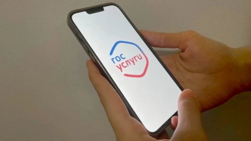     Госуслуги. Источник: altapress.ru.