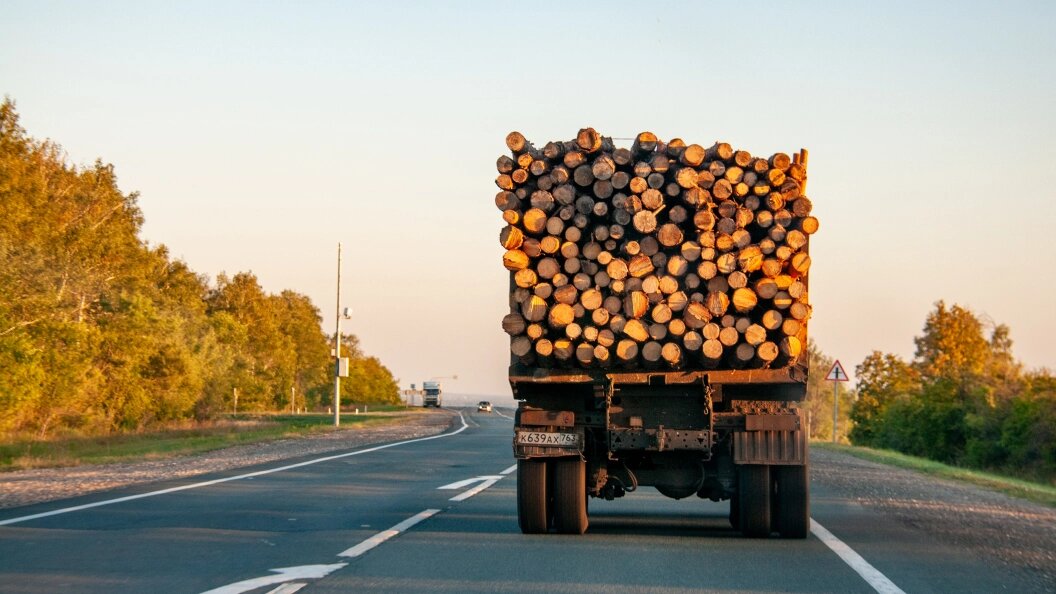    Фото: Svetlana Vozmilova/Globallookpress