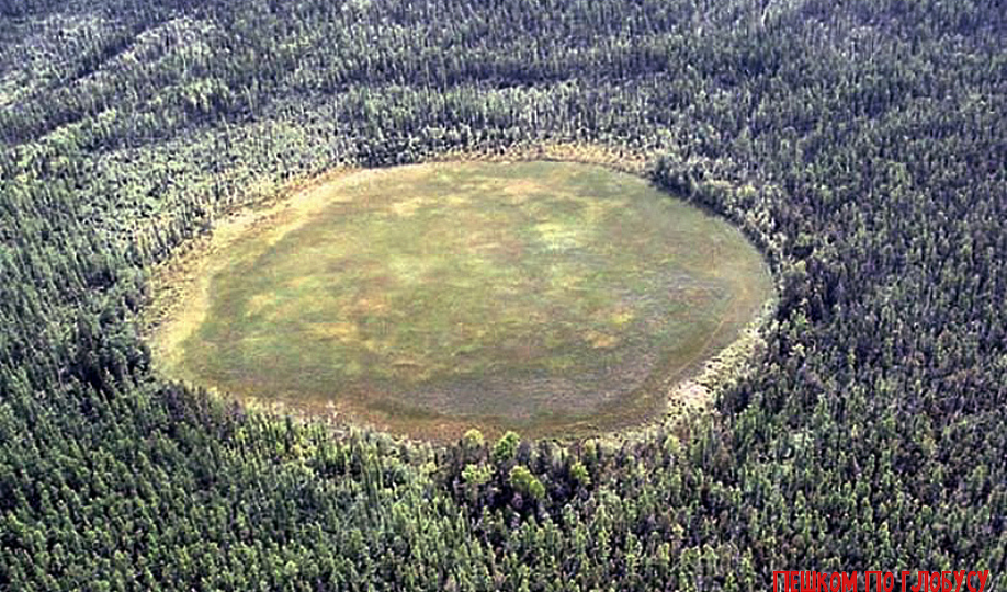 Тайна Тунгусского метеорита. Что же произошло на самом деле? Может все же комары?