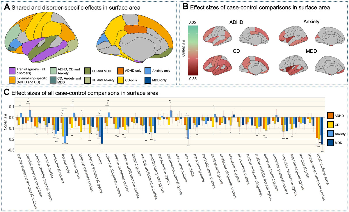    Biological Psychiatry (2025). DOI: 10.1016/j.biopsych.2025.08.003