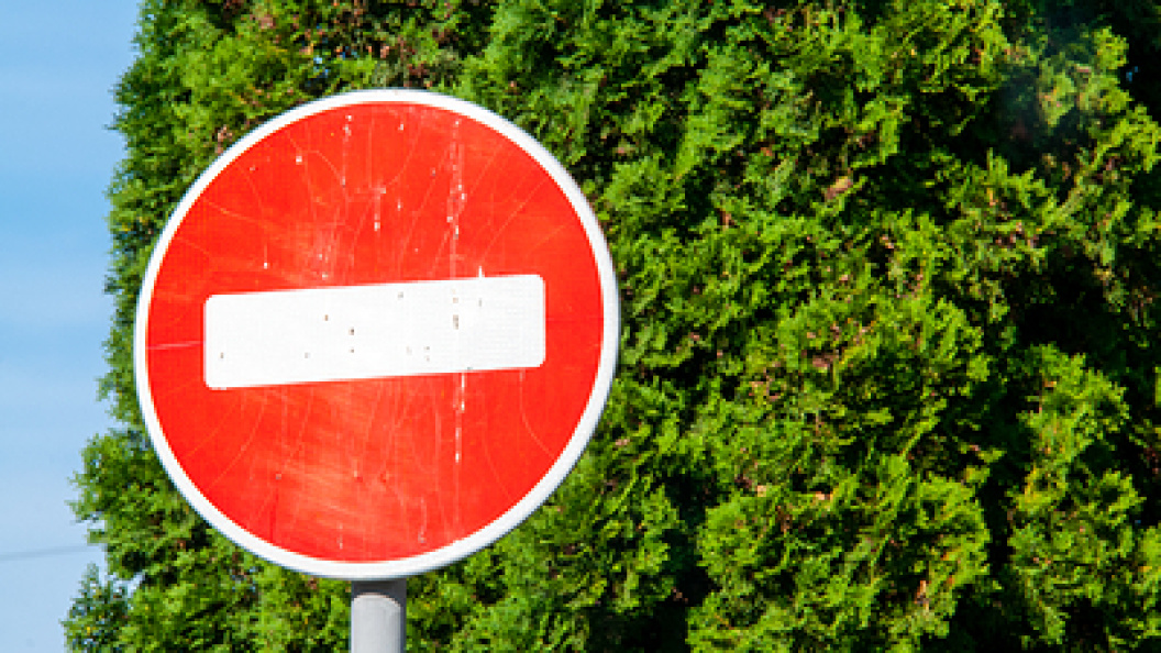    Фото: Svetlana Vozmilova/Globallookpress