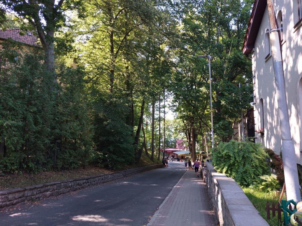 Самое первое фото, которое я сделал приехав в Светлогорск