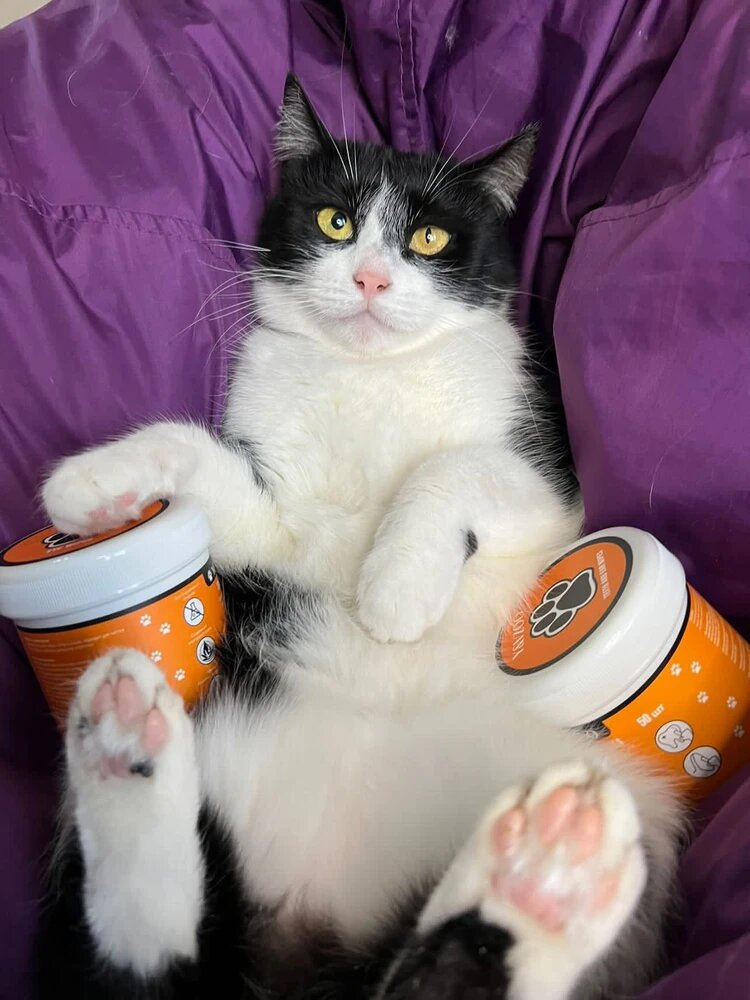 Наш постоянный клиент)