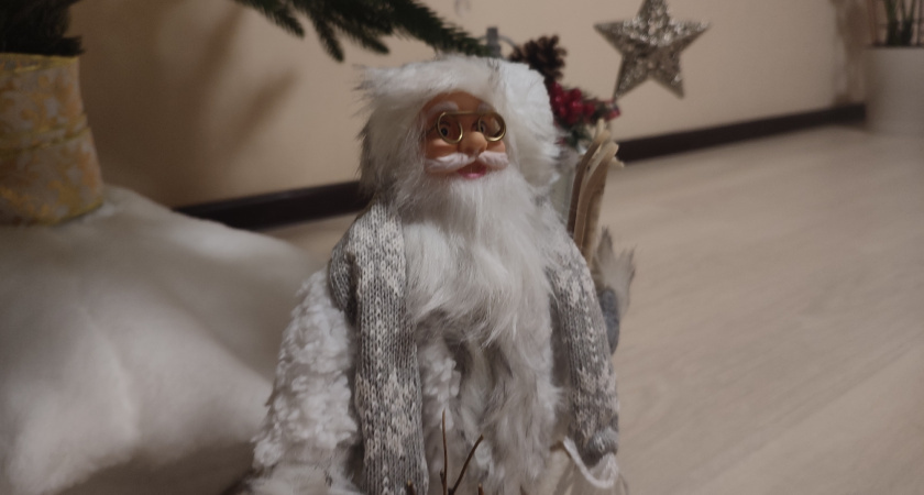    В Лискинской библиотеке открылась новогодняя выставка «Дедморозовка»