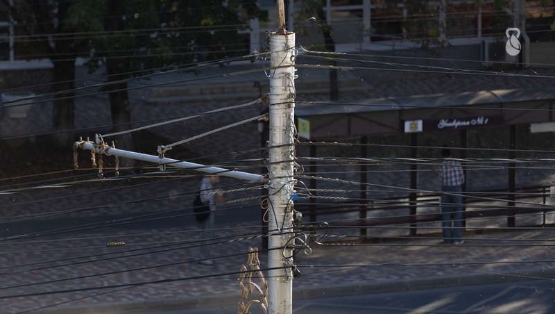      Фото: Валерия Алтухова / / ИА «Победа26»