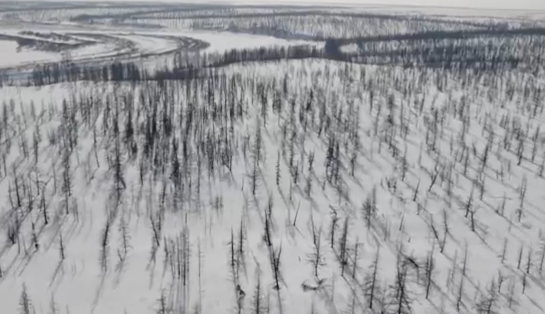     В Красноярске прошла премьера фильма о коренных народах севера