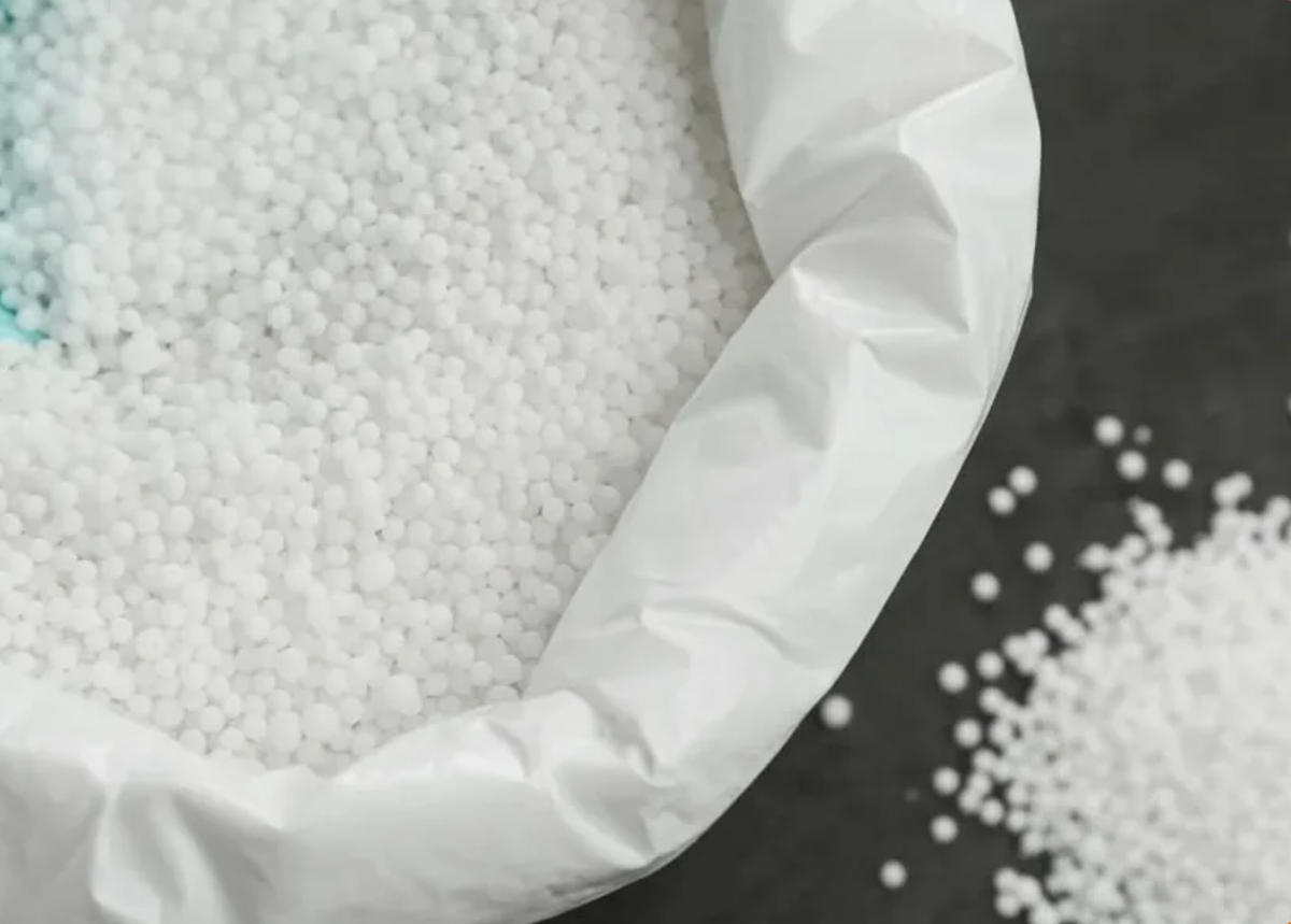 Источник фото: dzen.ru