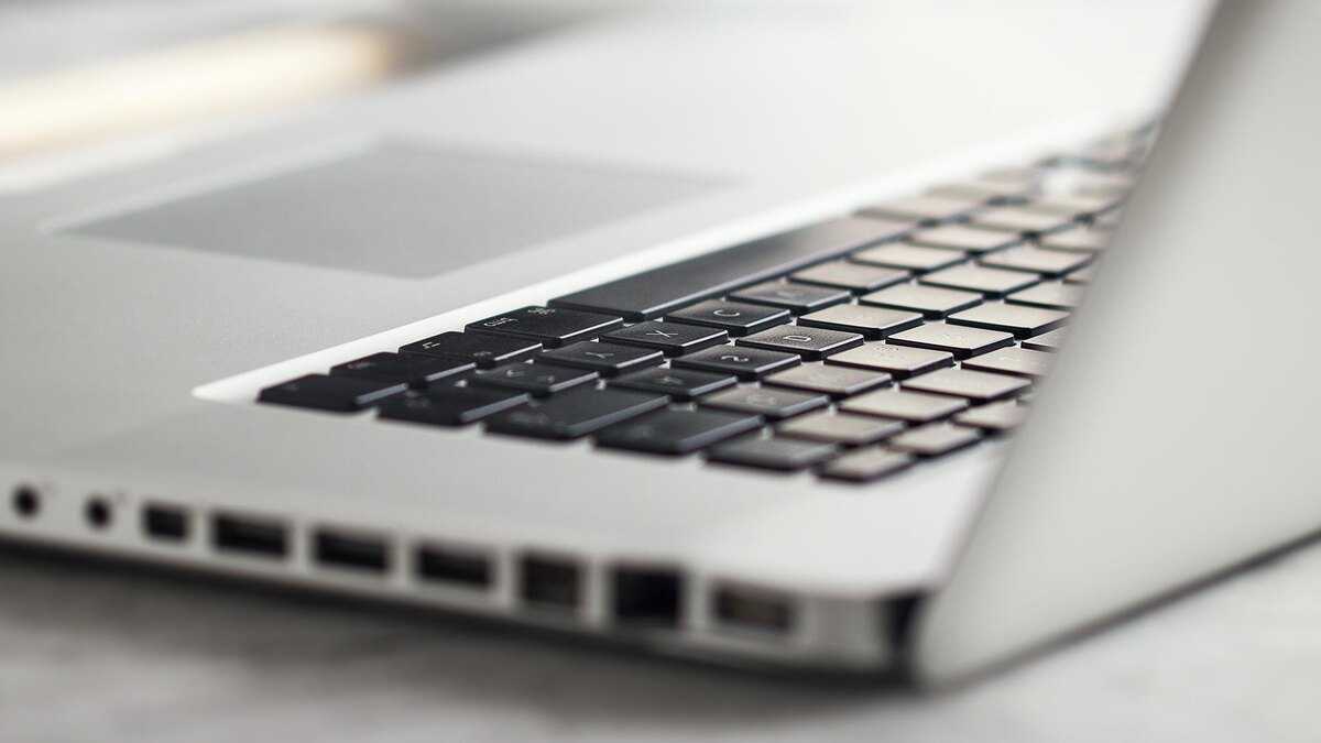    Фото: freepik.com/valeria_aksakova