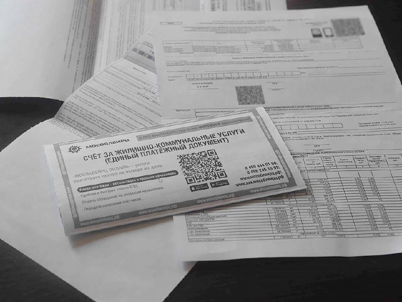    Фото: МедиаБанк Подмосковья/Дарья Соколова