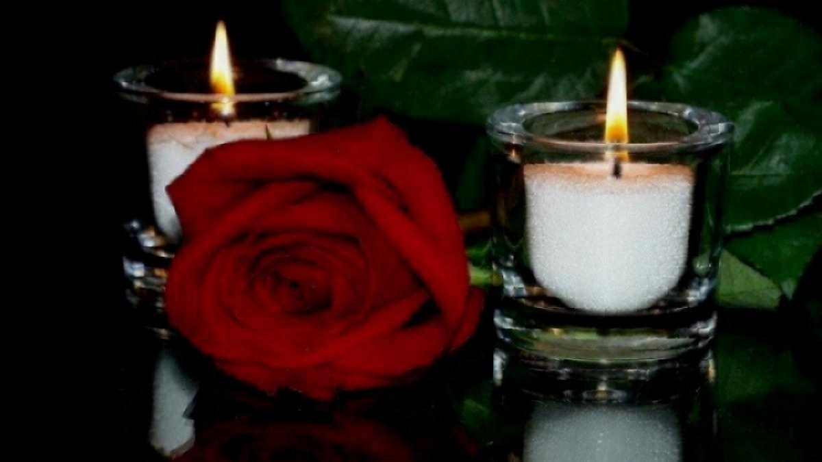    Поисковики из Саратова обнаружили останки 114 советских воиновНовости Саратова и области – Сетевое издание «Репортер64»