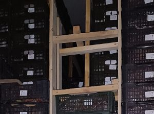 Фото: Уральское межрегиональное управление Россельхознадзора