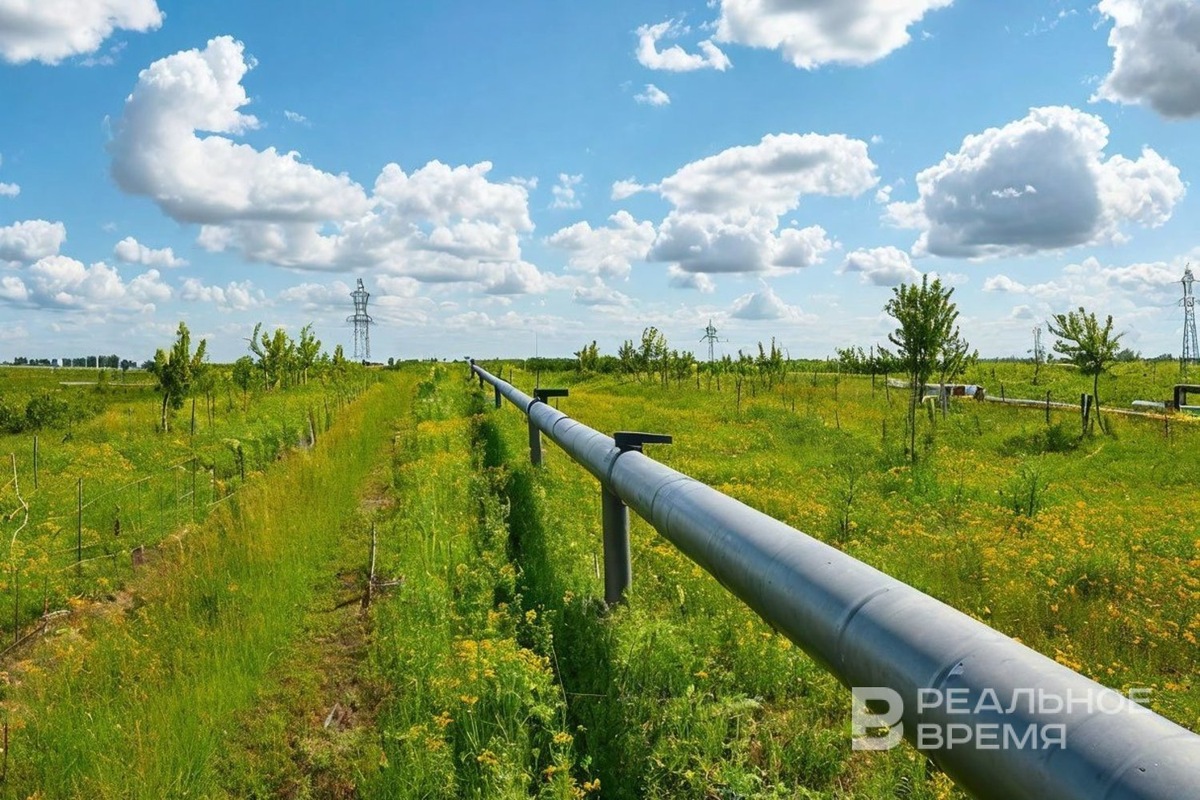   Реальное время / realnoevremya.ru