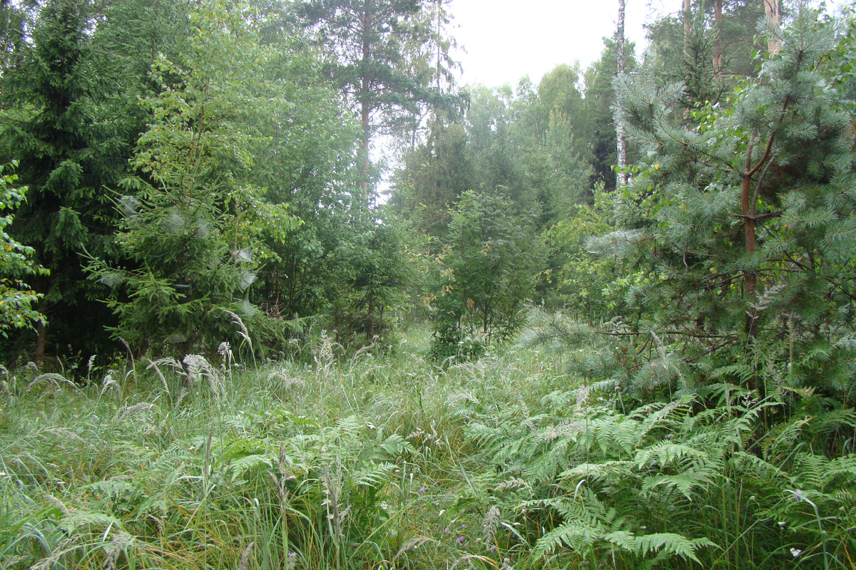 Фото Лидии Бам